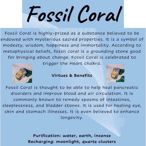 Fossil Coral Gemstone Handmade Halo Ring - Picture 2 of 7